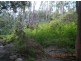 5 Lagoon Creek Road, West Haldon QLD 4359