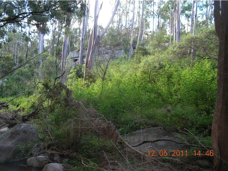 5 Lagoon Creek Road, West Haldon QLD 4359