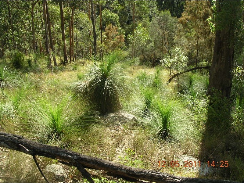 5 Lagoon Creek Road, West Haldon QLD 4359