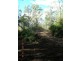 5 Lagoon Creek Road, West Haldon QLD 4359