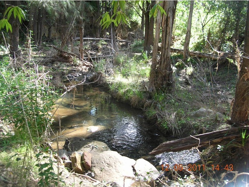 5 Lagoon Creek Road, West Haldon QLD 4359