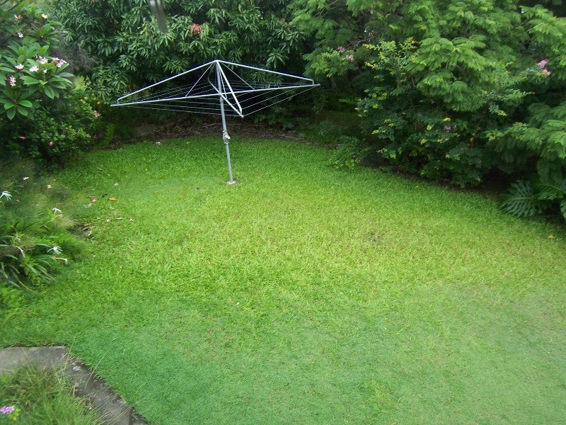 20 Pelham Street, Coorparoo QLD 4151