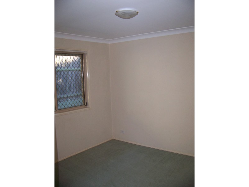 50 Moonie Ave, Murarrie QLD 4172