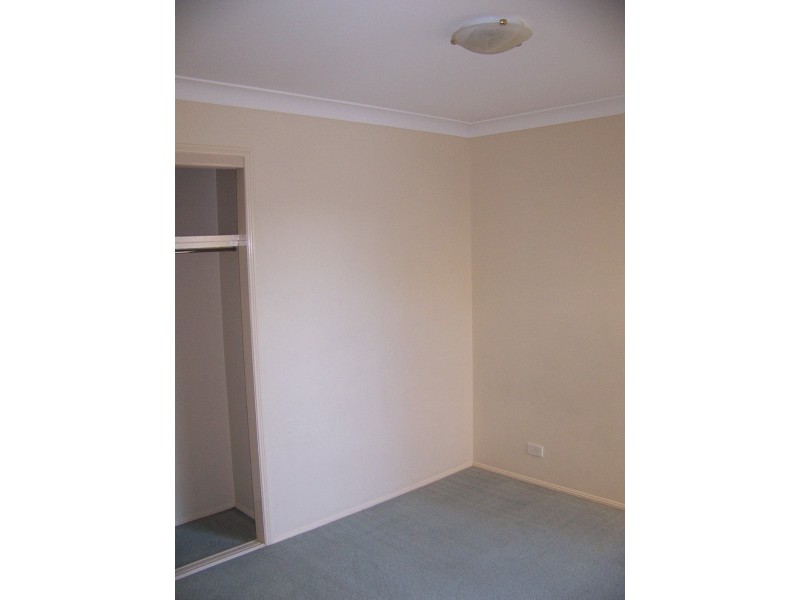 50 Moonie Ave, Murarrie QLD 4172