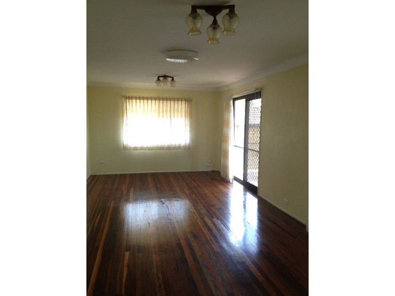 19 Harvest Street, Mansfield QLD 4122