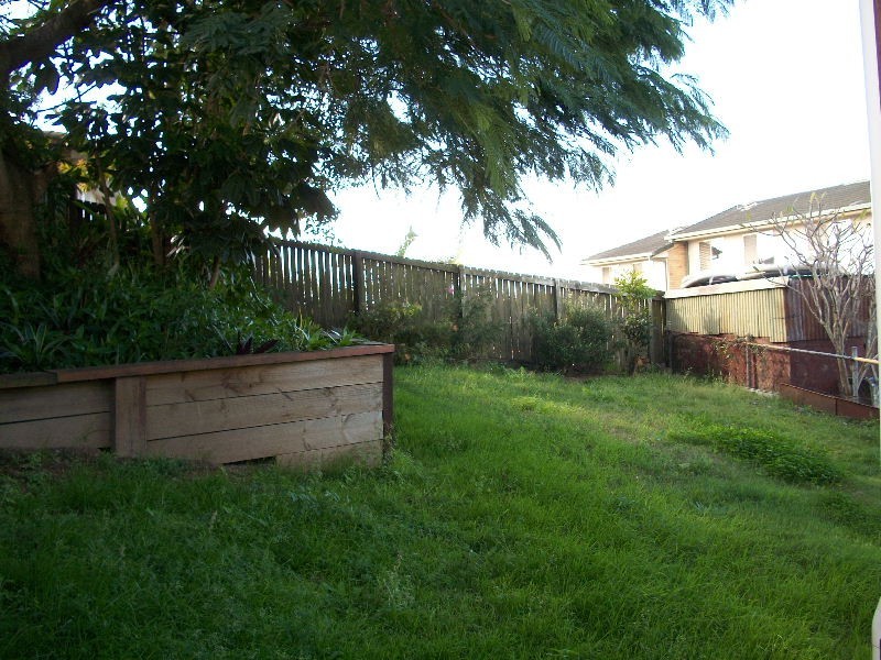 246 Winstanley Street, Carina Heights QLD 4152