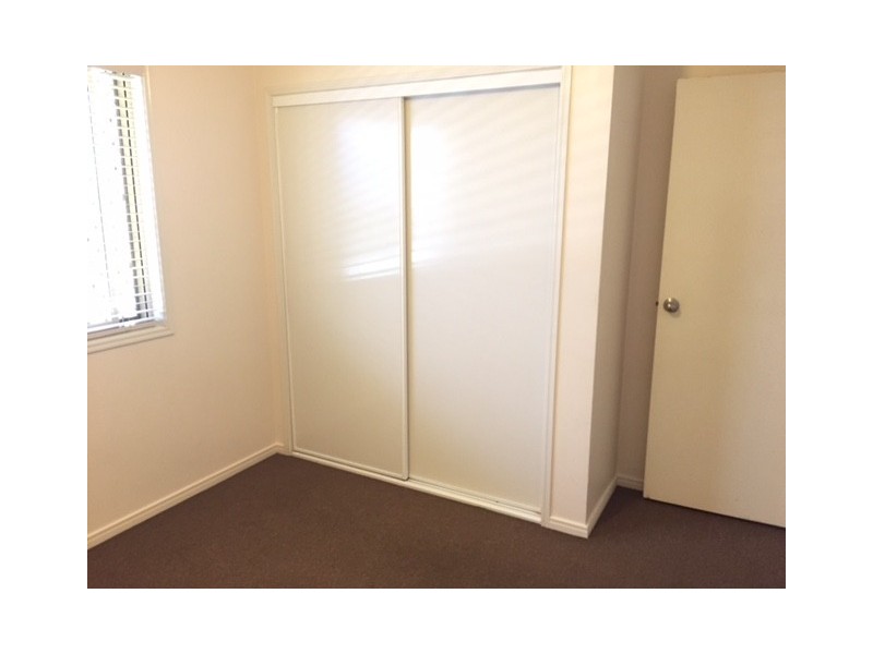 43 Carbeen Street, Bulimba QLD 4171