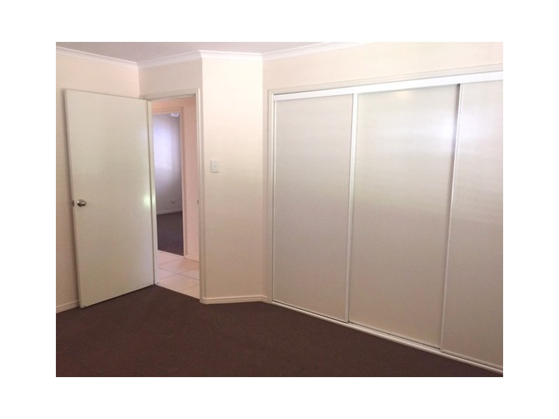 43 Carbeen Street, Bulimba QLD 4171