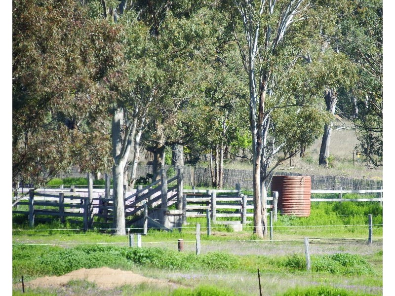 231 Washpool Road, Rosenthal Heights QLD 4370