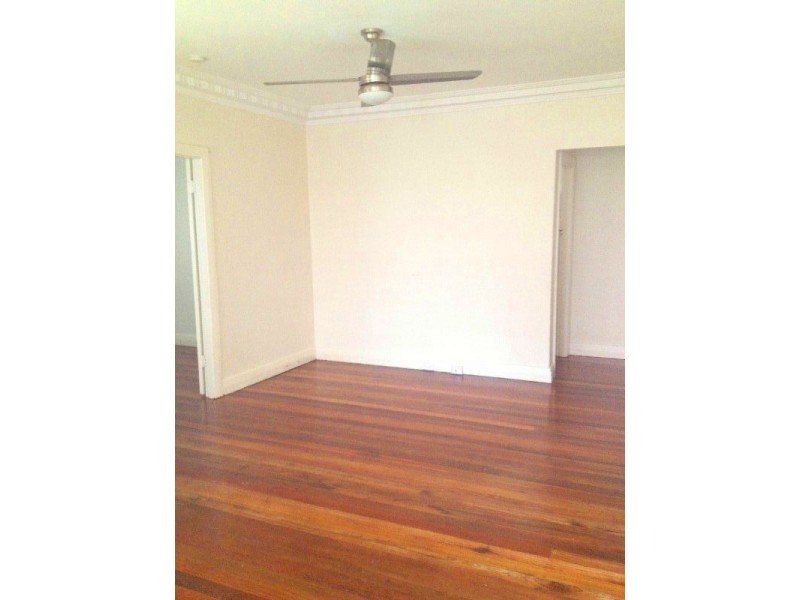 74 Shrapnel Road, Cannon Hill QLD 4170