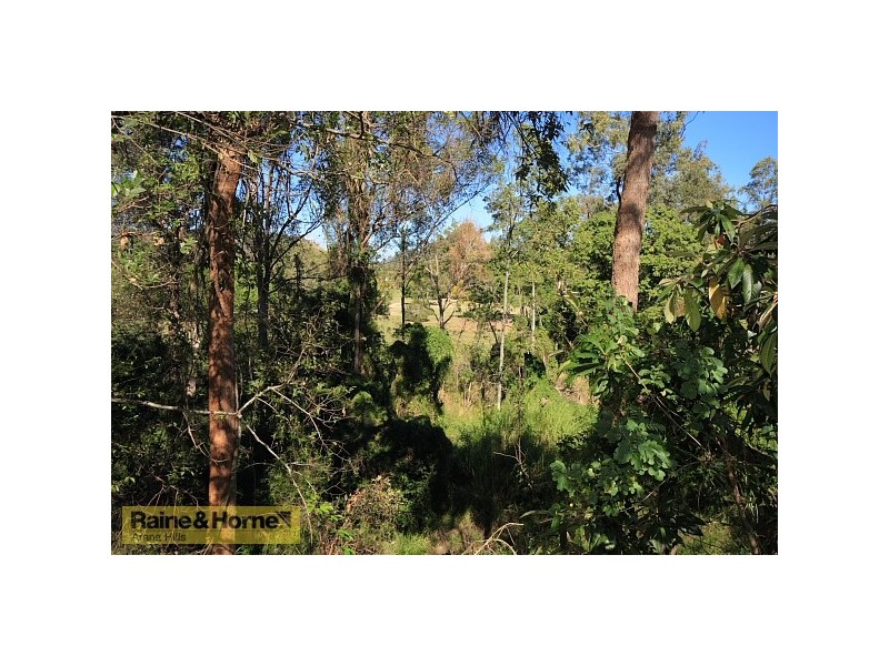 31 Jane Street, Arana Hills QLD 4054