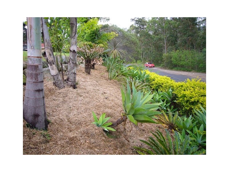 155  Lanita Road, Ferny Grove QLD 4055