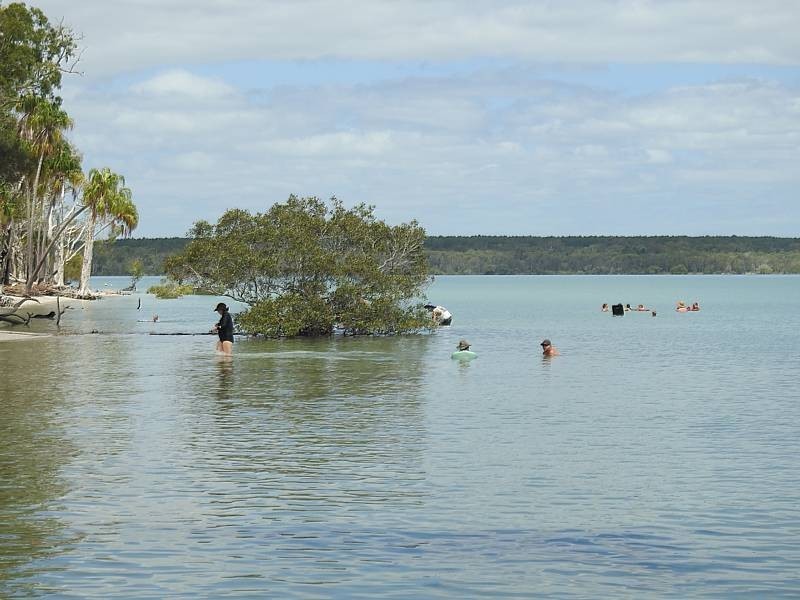 17 Boronia Drive, Tinnanbar QLD 4650