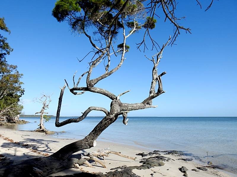 9 Fraser Court, Tinnanbar QLD 4650