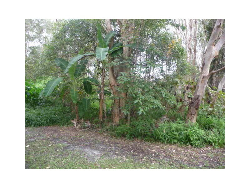 7 Renown Court, Cooloola Cove QLD 4580