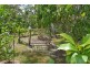 31 Fyshburn, Cooloola Cove QLD 4580