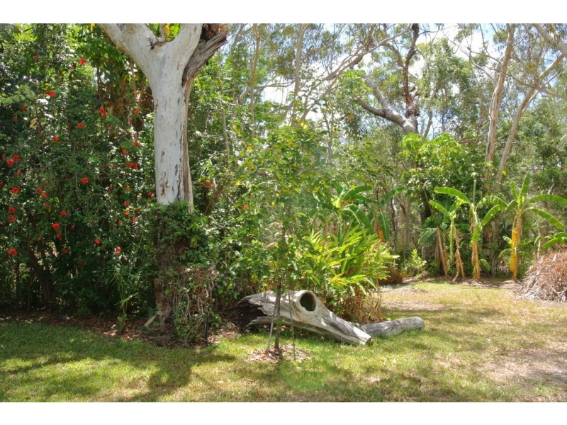 31 Fyshburn, Cooloola Cove QLD 4580