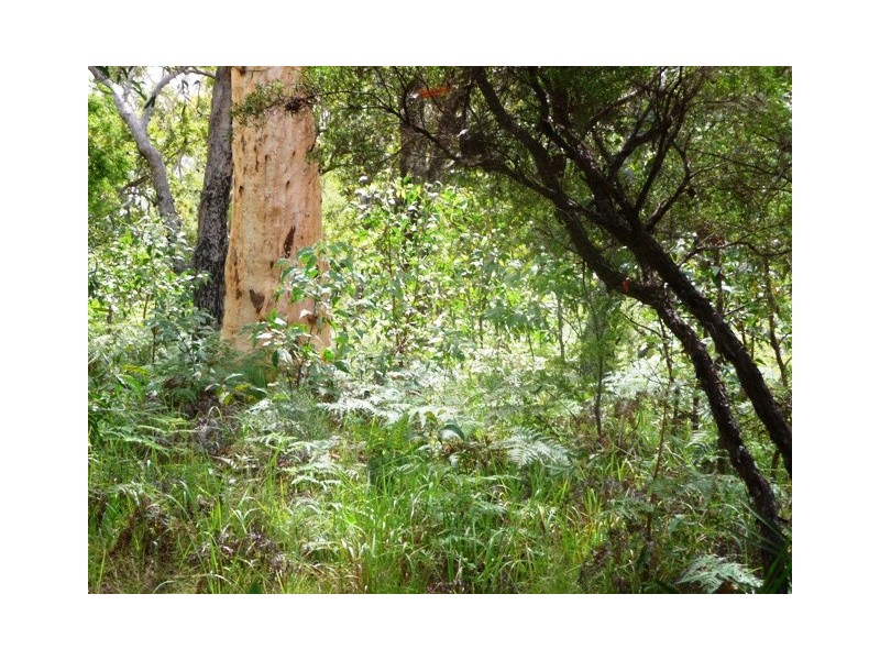 106 Endeavour Drive, Cooloola Cove QLD 4580