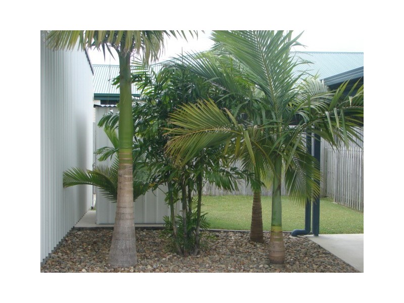 3 Pamir Court, Cooloola Cove QLD 4580