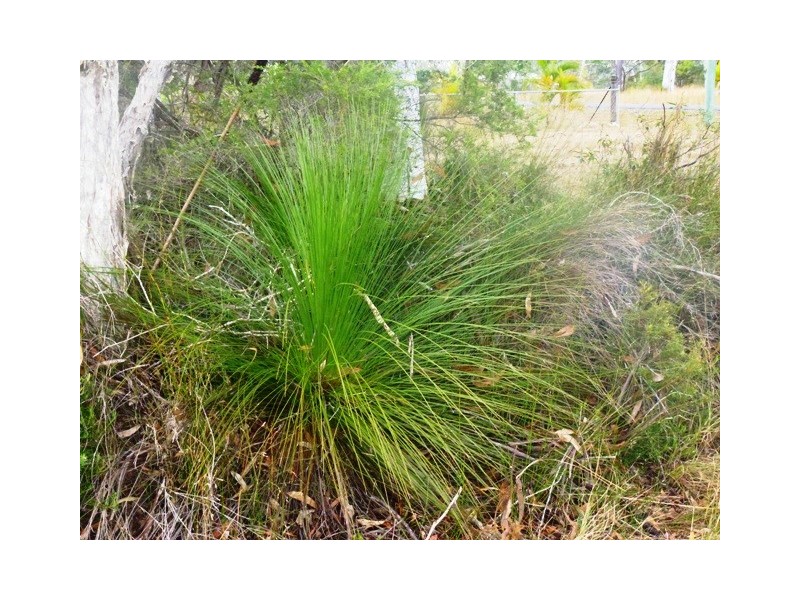 24 Atlantis Avenue, Cooloola Cove QLD 4580