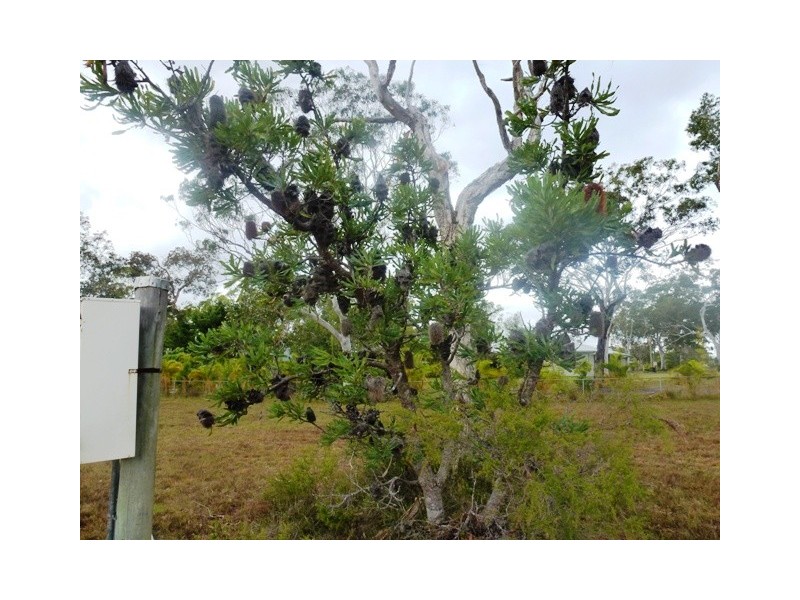 24 Atlantis Avenue, Cooloola Cove QLD 4580