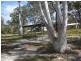 Cooloola Cove QLD 4580