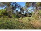 10 Batavia Court, Cooloola Cove QLD 4580