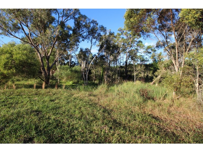 10 Batavia Court, Cooloola Cove QLD 4580