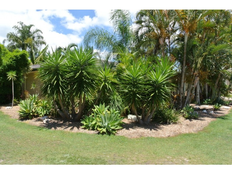 4 Retreat Court, Cooloola Cove QLD 4580