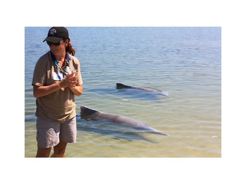 Tin Can Bay QLD 4580