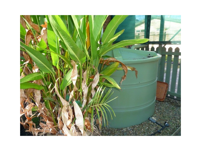 178 Queen Elizabeth Drive, Cooloola Cove QLD 4580