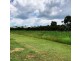 41 MARIPOSA PLACE, Cooloola Cove QLD 4580