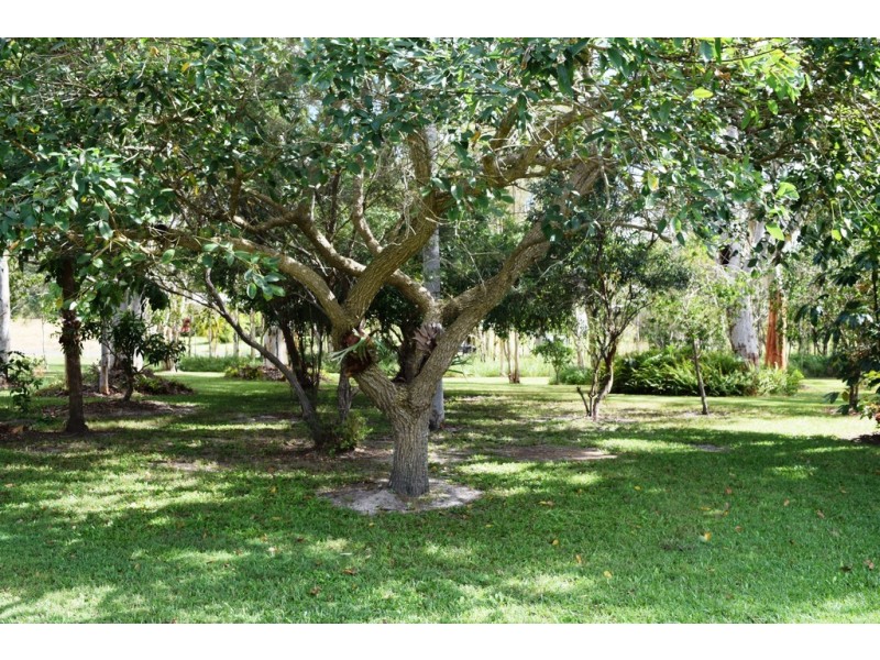 56 Discovery Drive, Cooloola Cove QLD 4580