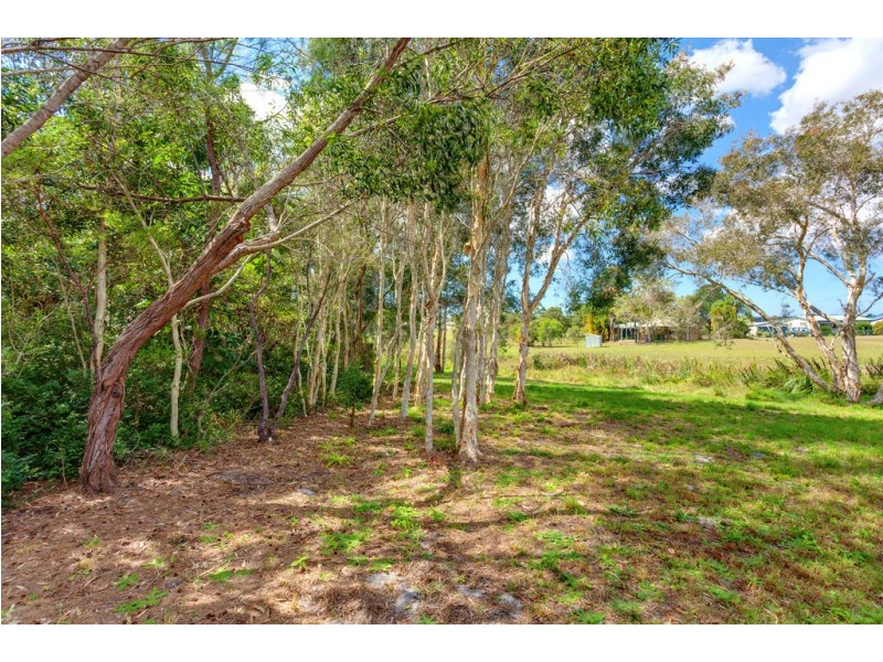 14 Norfolk Court, Cooloola Cove QLD 4580