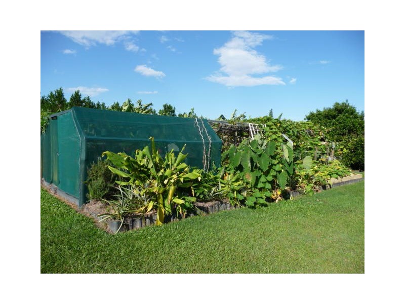 63 Marco Polo Drive, Cooloola Cove QLD 4580