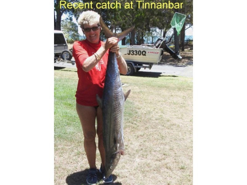 12 BORONIA DRIVE, Tinnanbar QLD 4650