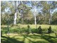 Cooloola Cove QLD 4580