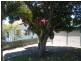 7 Oyster Parade, Tin Can Bay QLD 4580