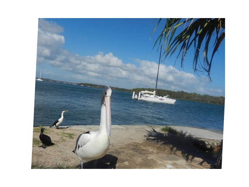 14 Oyster Parade, Tin Can Bay QLD 4580