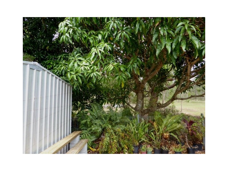 10 Mallett, Tin Can Bay QLD 4580