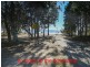 1 Orchid Avenue, Tinnanbar QLD 4650
