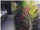 15 Golden Hind Avenue, Cooloola Cove QLD 4580