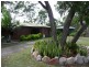 Cooloola Cove QLD 4580