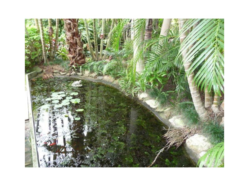 49 Endeavour, Cooloola Cove QLD 4580