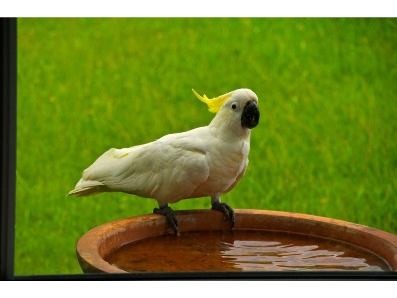 5 Oyster Parade, Tin Can Bay QLD 4580