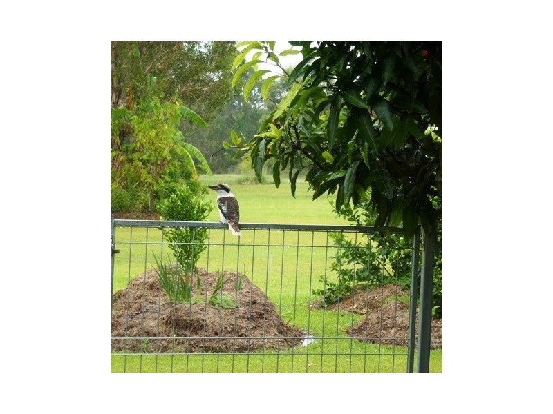 11 Investigator Avenue, Cooloola Cove QLD 4580