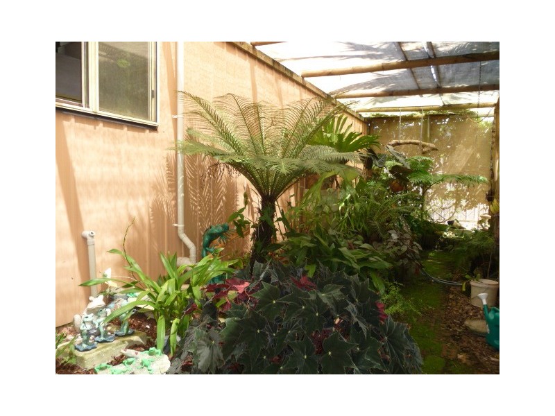 64 Nautilus Dr, Cooloola Cove QLD 4580