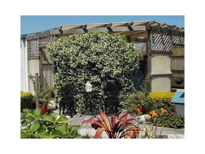 16 Achilles Avenue, Cooloola Cove QLD 4580