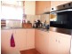 11 Endurance Ave, Cooloola Cove QLD 4580