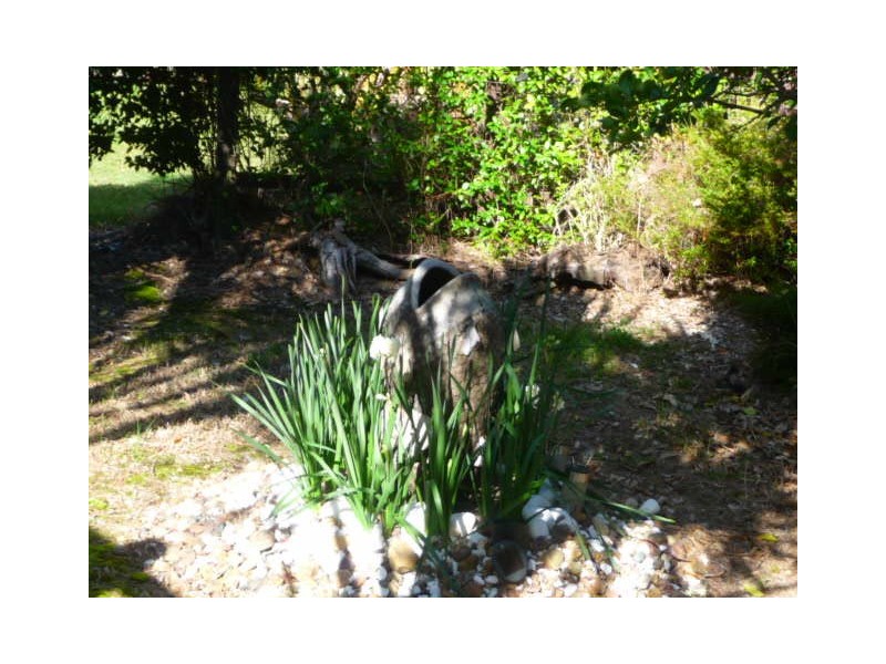 38 Endurance Ave, Cooloola Cove QLD 4580